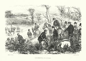 Coursing (incisione)