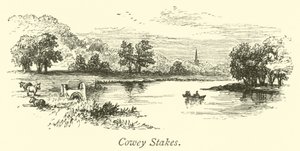 Cowey Stakes