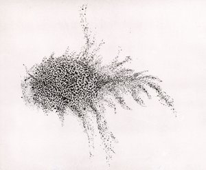Nebulosa del Granchio" di William Parsons, da "Observations on some of the Nebulae" delle "Philosophical Transactions of the Royal Society".