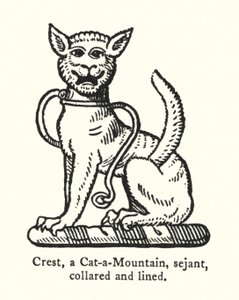 Cresta, un gatto selvatico, seduto, collare e linea