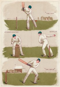 Cricket da English School