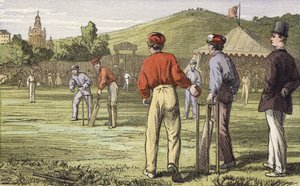 Cricket da English School