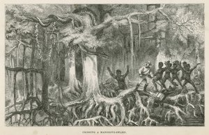 Attraversamento di una palude di mangrovie