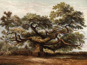 Crouch Oak, Addlestone da English School