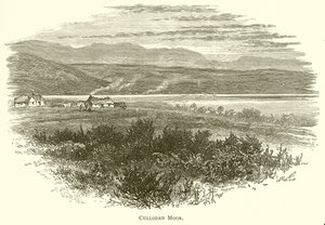 Brughiera di Culloden
