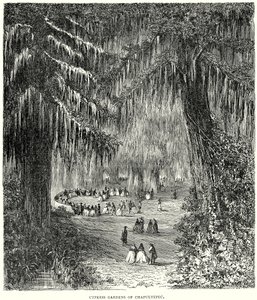 Giardini di cipressi di Chapultepec (incisione) da English School