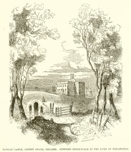 Castello di Dangan, Contea di Meath, Irlanda. Supposto Luogo di Nascita del Duca di Wellington da English School