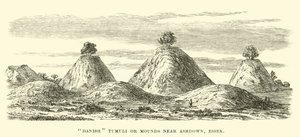 Tumuli o monticelli danesi vicino ad Ashdown, Essex