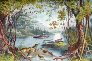 La nave di David Livingstone, La Ma-Robert, sul fiume Zambesi, Africa, durante la sua spedizione sullo Zambesi nel XIX secolo. Da La vita e le esplorazioni del Dr. Livingstone pubblicato c.1875 da English School