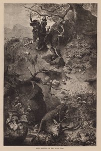 Il tiro al cervo nell
