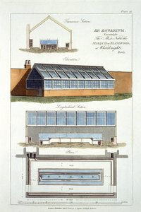 Progetto per un acquario, eseguito per il Marchese di Blandford a Whiteknights, 1806