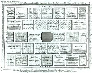 Progetto per un orto completato, da New Principles of Gardening, di Betty Langley, 1726 da English School