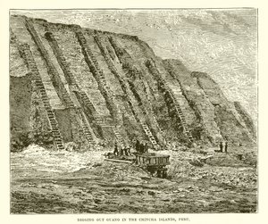 Estrazione del guano nelle isole Chincha, Perù da English School