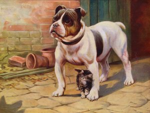Cane e gattino