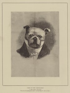 Cani della Corporazione