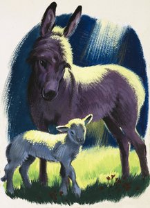 Asino e agnello da English School