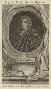 Dr Herman Boerhaave da English School