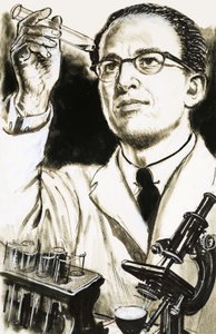 Dr Jonas Salk, creatore del vaccino antipolio, guarda una provetta