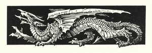 Drago (incisione)