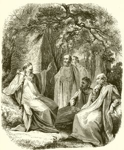 Druidi nel bosco sacro