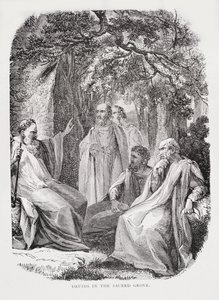 Druidi nel bosco sacro, da La storia della Francia, di Emile de Bonnechose, pubblicato da Ward, Lock and Co, Londra