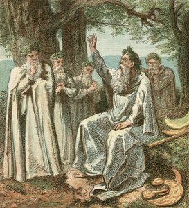 Druidi o sacerdoti britannici