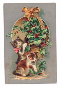Cartolina edoardiana di due gatti che giocano con un agrifoglio, 1910 circa (litografia a colori)