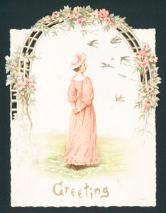 Signora elegante sotto l