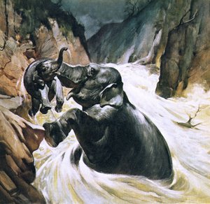 Elefante che salva il suo cucciolo