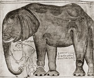 Elefante inviato da San Luigi a Enrico III, da "Historia Major", riprodotto in "English Historians".