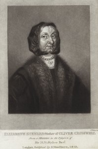 Elizabeth Steward da English School