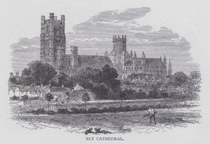 Cattedrale di Ely da English School