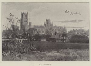 Cattedrale di Ely da English School