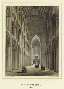 Cattedrale di Ely, navata da English School