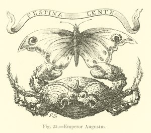 Imperatore Augusto da English School