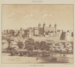 Inghilterra, la Torre di Londra da English School