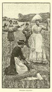 Spigolatori inglesi