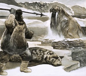 Inuit che attacca un tricheco da English School