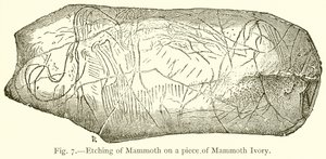 Incisione di Mammut su un pezzo di avorio di Mammut da English School