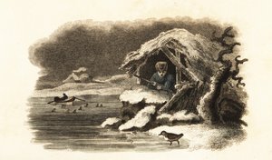 Merlo acquaiolo europeo che cammina nel Lago Nantua, Francia, e continua sommerso sul fondo del lago in una bolla d