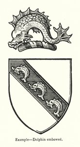 Esempio, delfino arcuato
