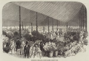 Esposizione della Royal Botanic Society, Regent