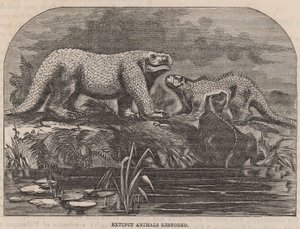 Animali estinti restaurati e esposti al Crystal Palace da English School