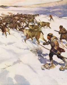 Il fattore John McLean raduna un branco di caribù in Labrador per la Hudson