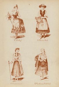 Costumi di carnevale: Follia, Fiorista, Buffona, Ragazza di Newhaven