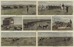 Agricoltura nelle pianure del Nord America
