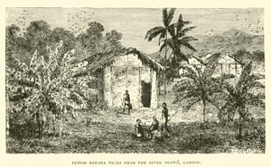 Alberi di banana feticcio vicino al fiume Ogowe, Gabon da English School