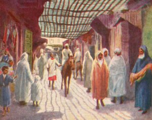 Fez, una strada ombreggiata da English School