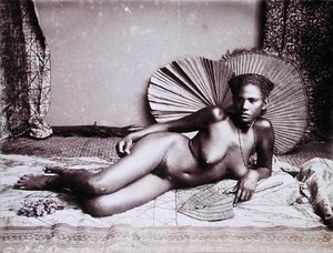 Fijiano (foto) da English School