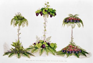 Primo premio per la decorazione della tavola, Royal Horticultural Society, 1851 da English School